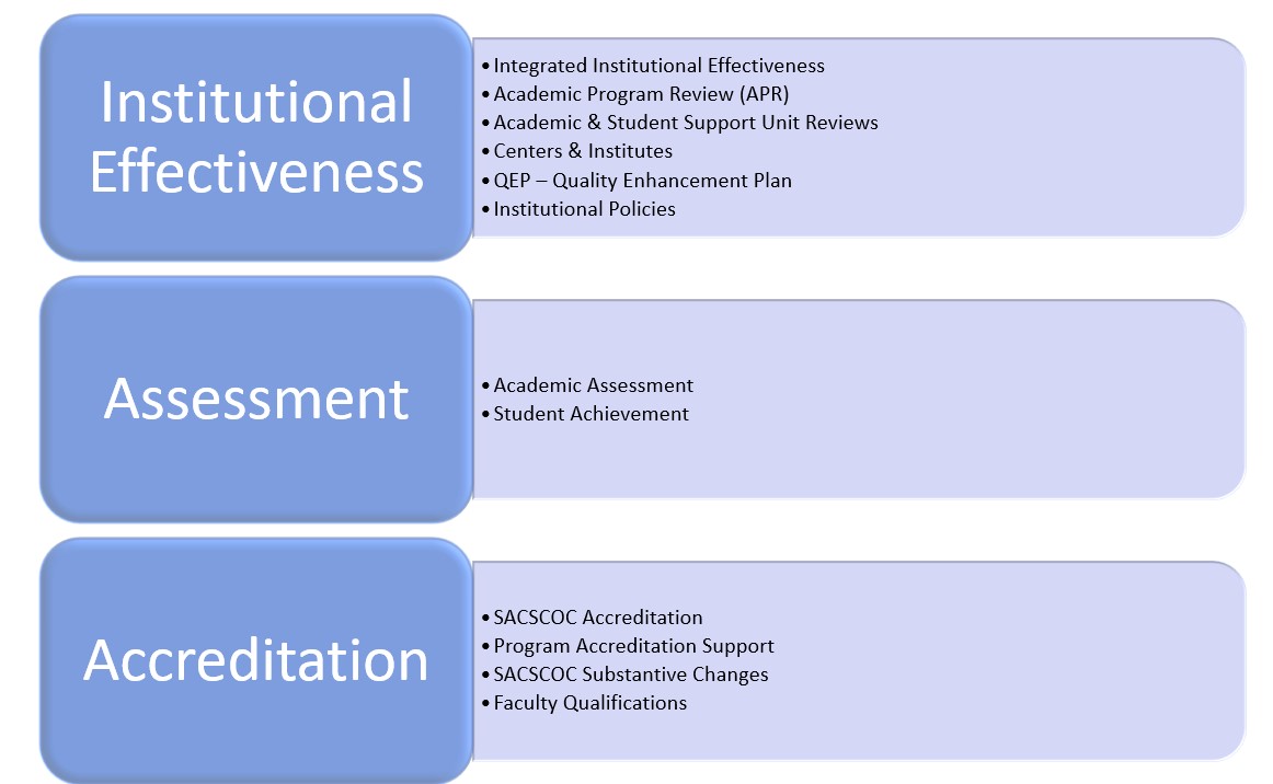 Graphic representing the areas of responsibility for the Academic Excellence Unit